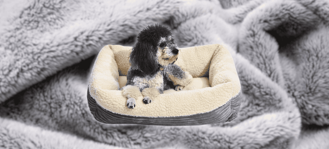 Keep Your Canine Cozy with These Heated Dog Beds