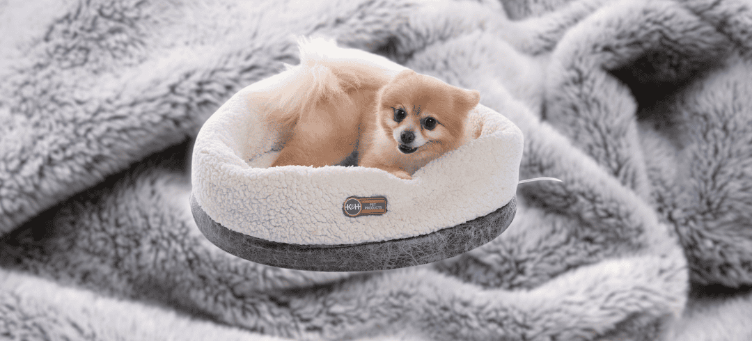 Keep Your Canine Cozy with These Heated Dog Beds