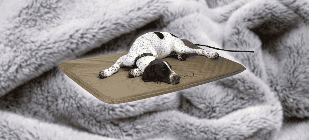 Keep Your Canine Cozy with These Heated Dog Beds