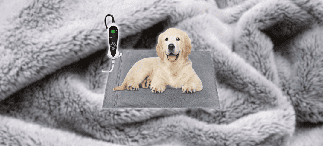 Keep Your Canine Cozy with These Heated Dog Beds