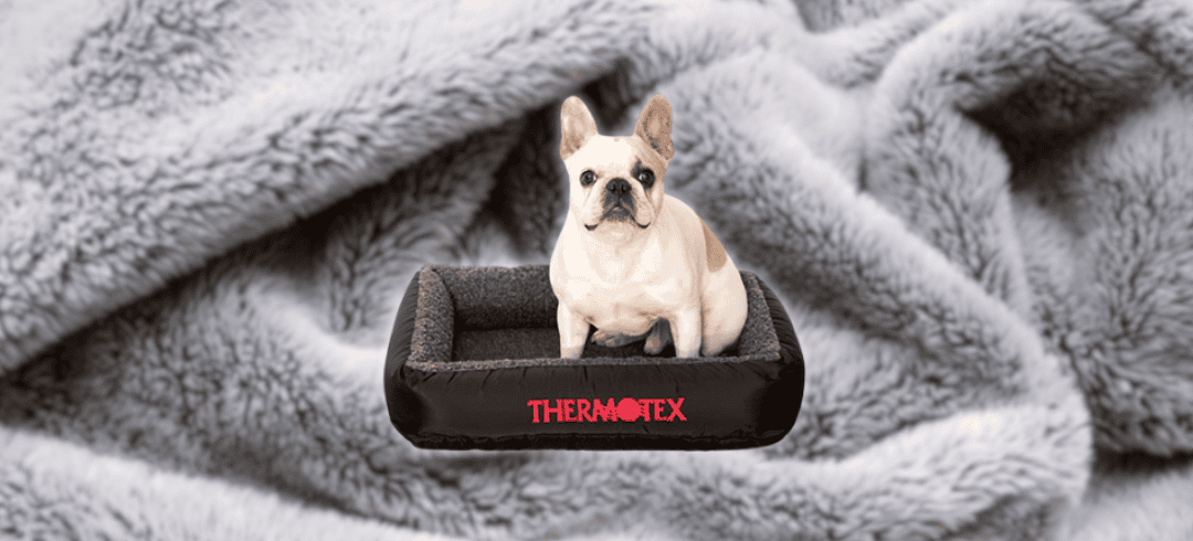 Keep Your Canine Cozy with These Heated Dog Beds