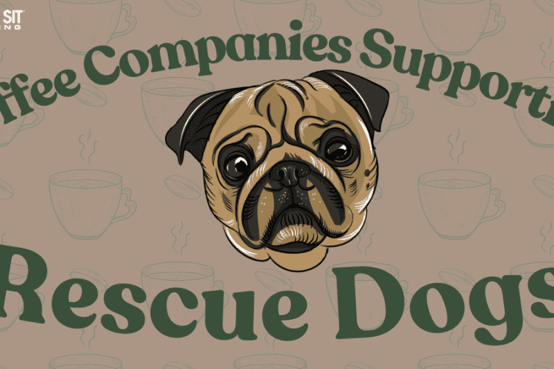 Coffee Companies That Are Brewing Support for Rescue Dogs