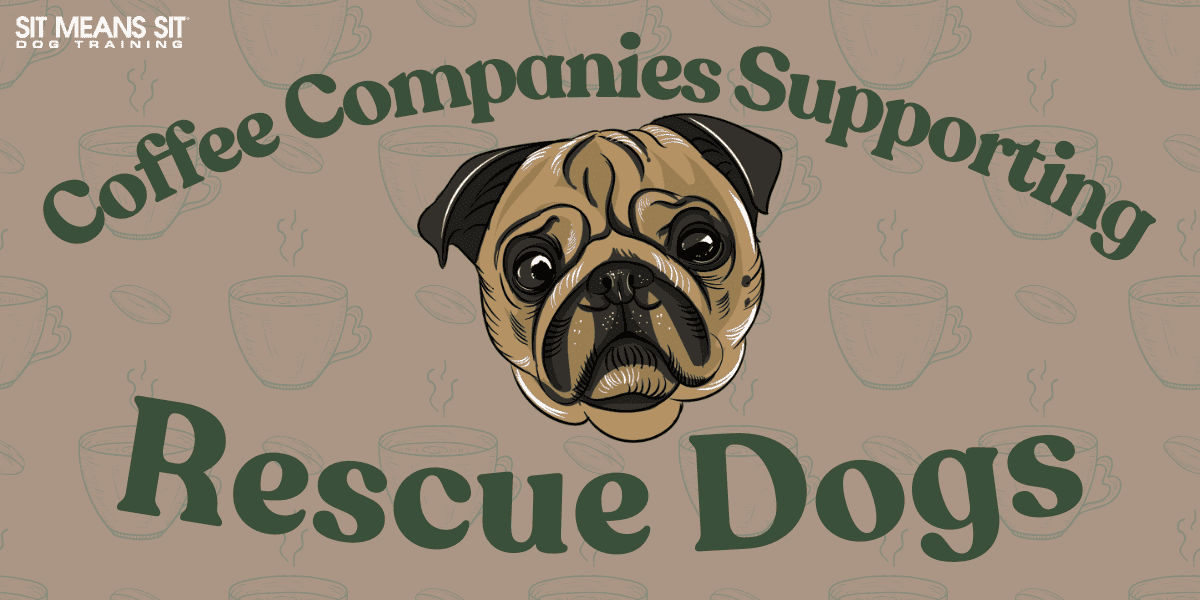 Coffee Companies That Are Brewing Support for Rescue Dogs