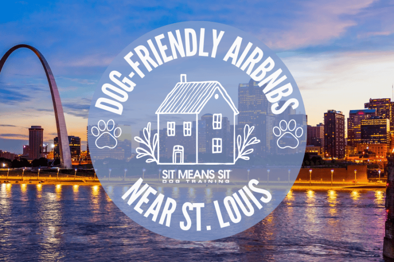 Dog-Friendly Airbnbs in St. Louis