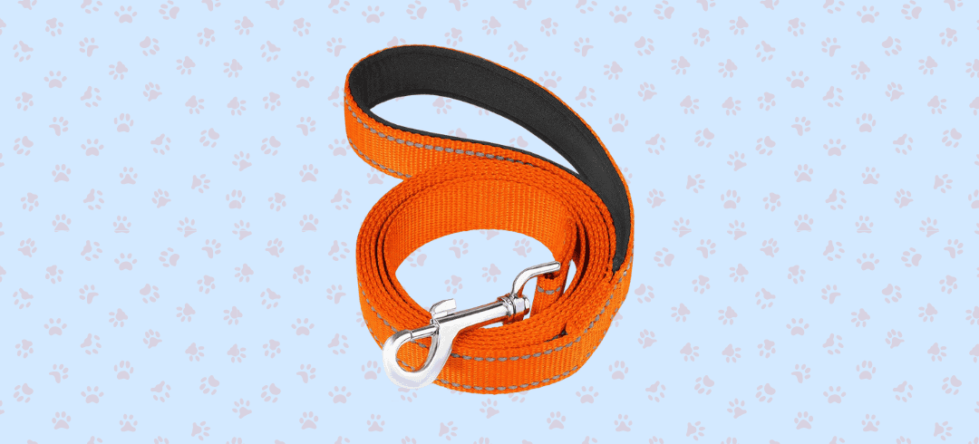 Stay Safe: Top Reflective Gear for Dogs