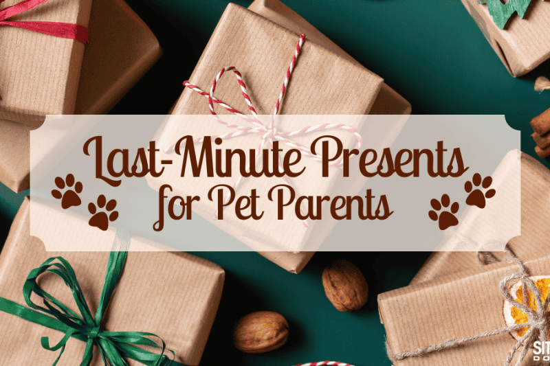 Last-Minute Presents for Pet Parents