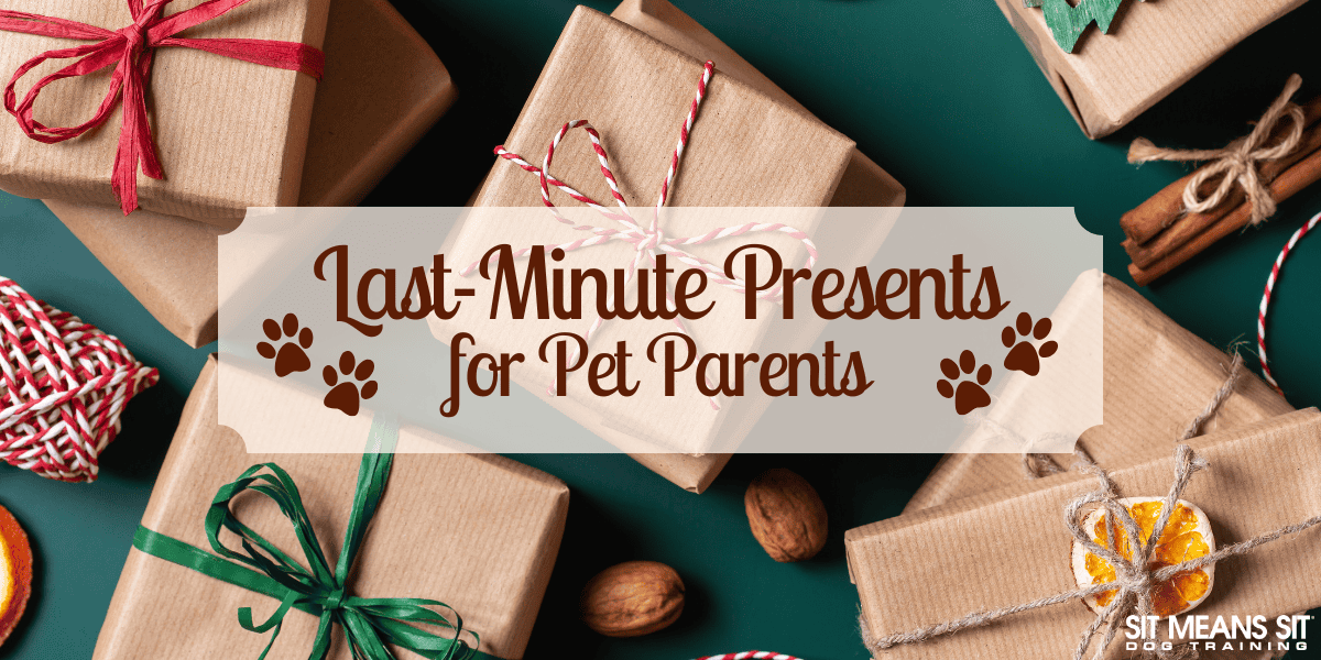 Last-Minute Presents for Pet Parents