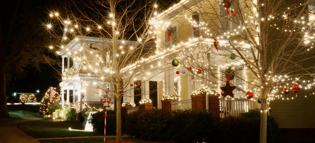 Festive Holiday Activities You Can Do with Fido