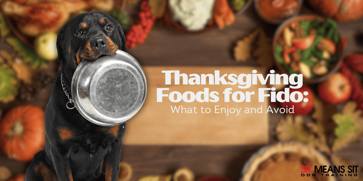 Thanksgiving Foods: What Fido Can & Can't Eat