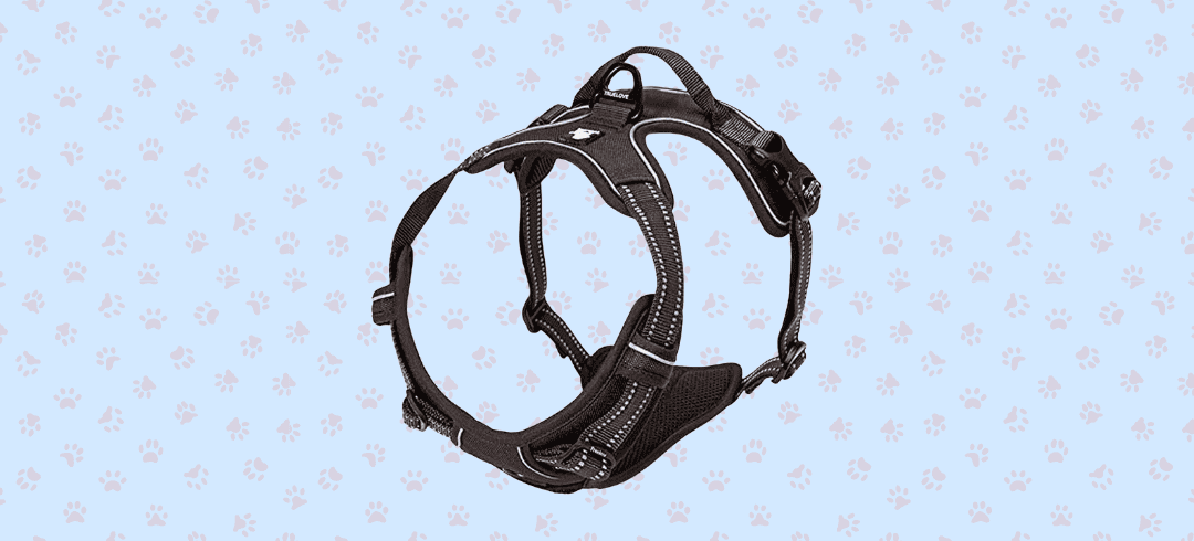 Stay Safe: Top Reflective Gear for Dogs