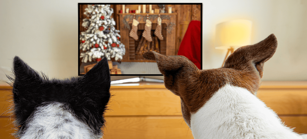 Festive Holiday Activities You Can Do with Fido