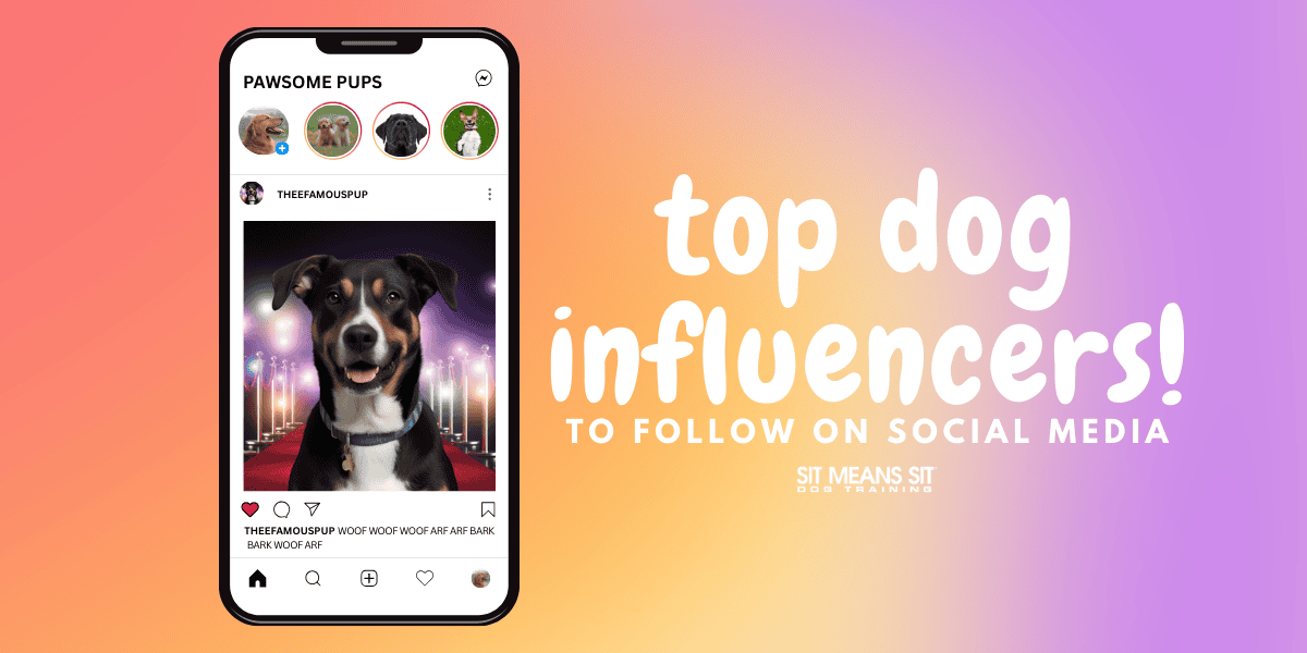 Who Are the Top Dog Influencers on Social Media?